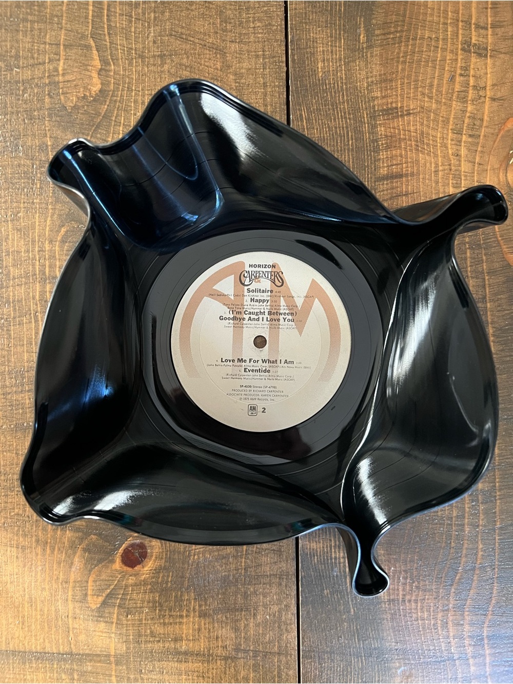 The Carpenters Horizon Vinyl Record Trinket Dish Black vinyl record bowl